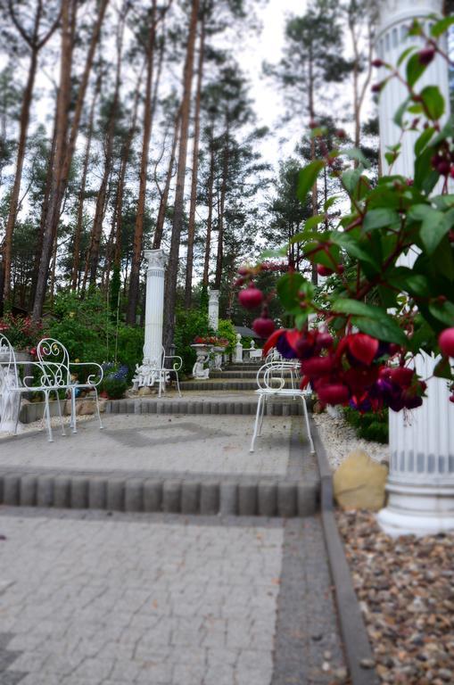 Maciejanka 3* Kobyla Góra